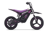 Pocket bike électrique enfant ROOKIE X 24V (14") | Batterie lithium | Moteur brushless 250 W | Frein à disque