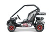 Petrol Go-Kart for children Beneo Motors BUGGY RSX XL red - 212cm3