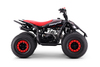 Quad a benzina per bambini 125 cc | Beneo Motors Predator | Rosso