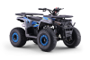 Kids Petrol Quad 125cc | Beneo Motors Warrior Blue | Ages 8+ | Reverse Gear &amp; Speed Limiter
