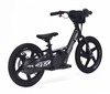 Children's electric balancer RIRIBIKE RTX6 24V (16"), black, Lithium battery, 250W motor, Disc brake