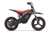 Pocket bike elettrica per bambini ROOKIE X 24V (14") | Batteria al litio | Motore brushless 250 W | Freno a disco