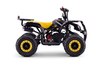 Mini quad a benzina 50cc | Beneo Motors COBRA | Per bambini di 5–10 anni | Limitatore di velocità