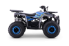 Kids Petrol Quad 125cc | Beneo Motors Warrior Blue | Ages 8+ | Reverse Gear &amp; Speed Limiter