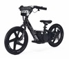Children's electric balancer RIRIBIKE RTX6 24V (16"), black, Lithium battery, 250W motor, Disc brake