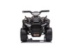 Electric QUAD MINI 6V, Black, MP3 player with USB / AUX input, 1 X 25W Engine, 6V / 4Ah battery, fun