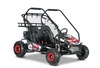 Petrol Go-Kart for children Beneo Motors BUGGY RSX XL red - 212cm3