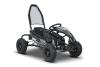 Petrol Go-Kart for children Beneo Motors BUGGY RSX black - 98cm3