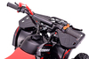 Mini quad a benzina 50cc | Beneo Motors COBRA | Per bambini di 5–10 anni | Limitatore di velocità