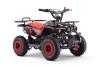 Kids Petrol Mini Quad 50cc | Beneo Motors Explorer | Ages 4–8 | Speed Limiter