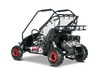 Petrol Go-Kart for children Beneo Motors BUGGY RSX XL red - 212cm3