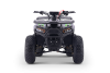 Kids Petrol Quad 125cc | Beneo Motors Warrior Green | Ages 8+ | Reverse Gear &amp; Speed Limiter