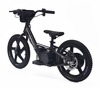 Children's electric balancer RIRIBIKE RTX6 24V (16"), black, Lithium battery, 250W motor, Disc brake