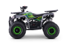 Kids Petrol Quad 125cc | Beneo Motors Warrior Green | Ages 8+ | Reverse Gear &amp; Speed Limiter