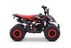 Mini quad à essence 50 cm³ | Beneo Motors Adventure | Pour enfants de 4 à 8 ans | Limiteur de vitess