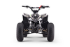 Quad a benzina per bambini 125 cc | Beneo Motors Predator | Verde
