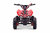 Copy - Mini quad a benzina 50cc per bambini | Beneo Motors MTX | Età 6–10 anni | Limitatore di velocità