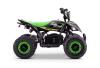 ATV - Pocket Quad for Children Beneo Motors Raptor Green - 800W