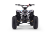 Quad a benzina per bambini 125 cc | Beneo Motors Predator | Blu