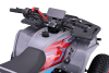 Kids Petrol Quad 125cc | Beneo Motors Warrior Red | Ages 8+ | Reverse Gear &amp; Speed Limiter