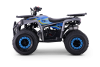 Kids Petrol Quad 125cc | Beneo Motors Warrior Blue | Ages 8+ | Reverse Gear &amp; Speed Limiter