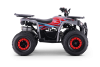 Kids Petrol Quad 125cc | Beneo Motors Warrior Red | Ages 8+ | Reverse Gear &amp; Speed Limiter