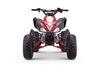 ATV - Quad for Children Beneo Motors ZXT Red - 125cc