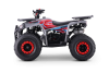Kids Petrol Quad 125cc | Beneo Motors Warrior Red | Ages 8+ | Reverse Gear &amp; Speed Limiter