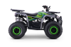 Kids Petrol Quad 125cc | Beneo Motors Warrior Green | Ages 8+ | Reverse Gear &amp; Speed Limiter