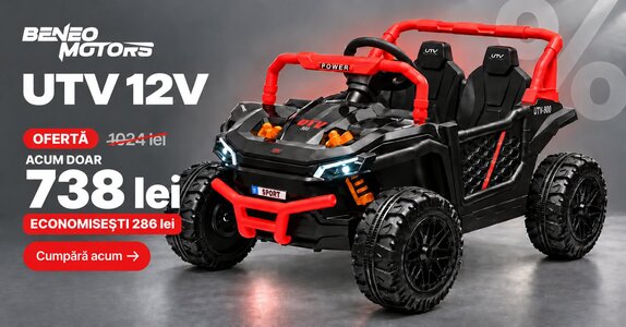 Beneo Motors UTV Small