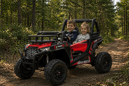 Bestseller voor de beste prijs – Beneo Motors UTV 24V