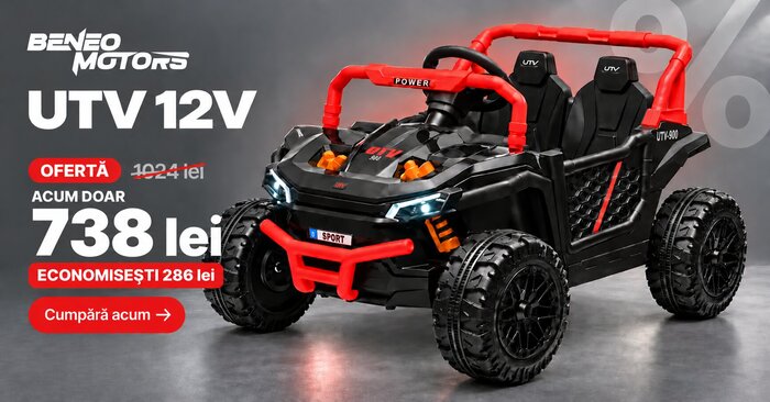 Beneo Motors UTV Small