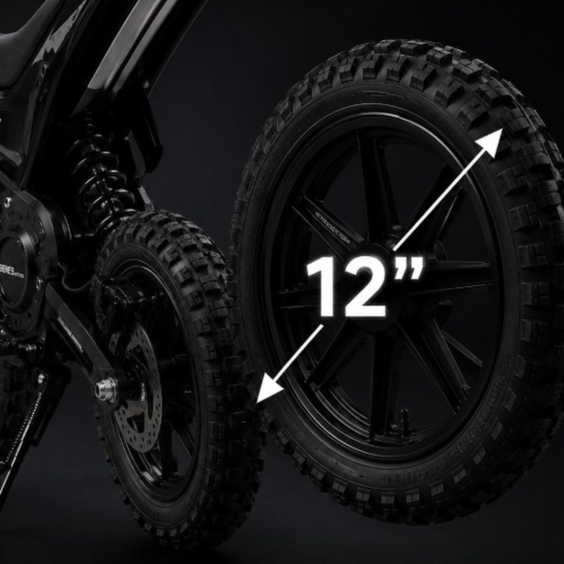 Roues stables de 12 pouces