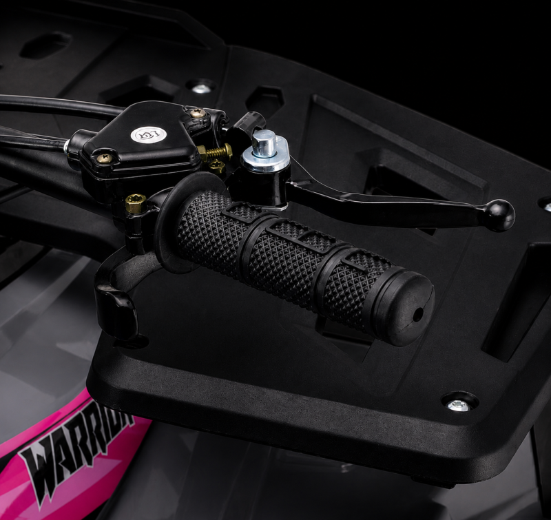 Adjustable speed limiter
