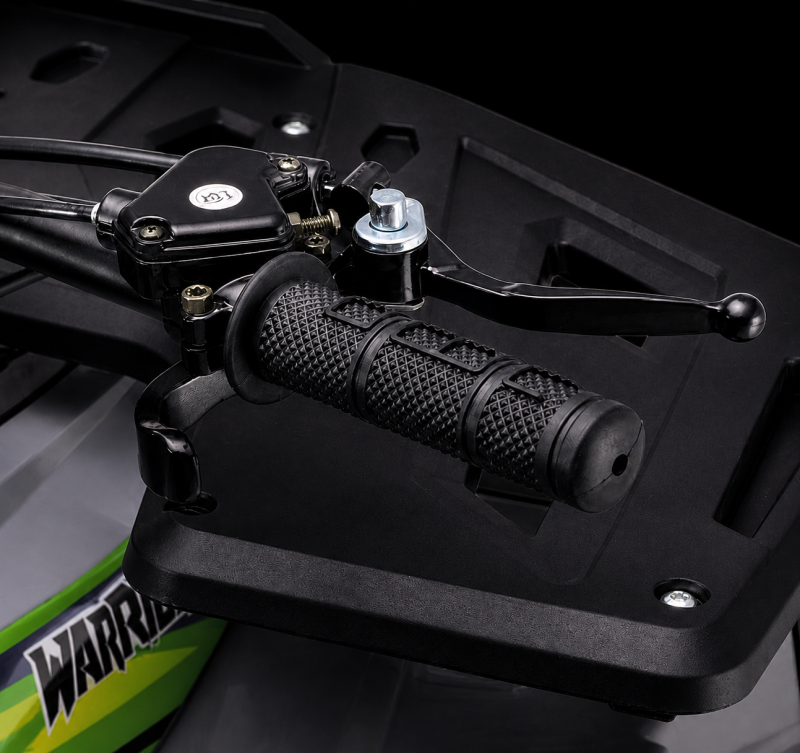 Adjustable speed limiter