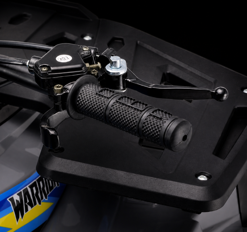 Adjustable speed limiter