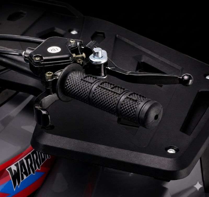 Adjustable speed limiter