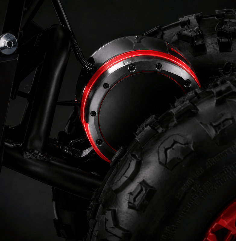 Powerful 800W Electric Motor