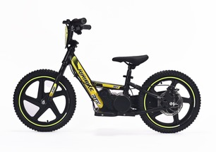 /3/r/3riribike6.jpg