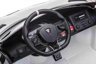 Electric Ride on Car Lamborghini Aventador 12V for two users, Green, Vertical opening doors, 2 x 12V
