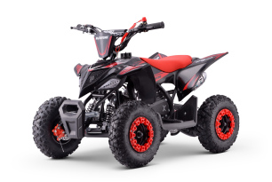 Mini Quad 50 ccm für Kinder | Beneo Motors Adventure | geeignet für 4–8 Jahre | Geschwindigkeitsbegr