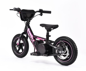 /r/i/riribike9.jpg