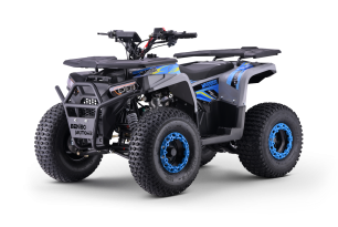 Kids Petrol Quad 125cc | Beneo Motors Warrior Blue | Ages 8+ | Reverse Gear &amp; Speed Limiter