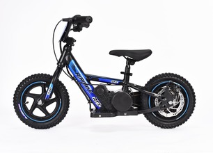 /r/i/riribike20.jpg