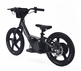 /3/9/39riribike.jpg