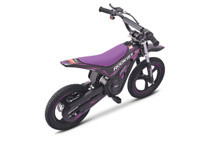purple (8).jpg