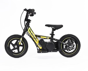 /r/i/riribike110.jpg