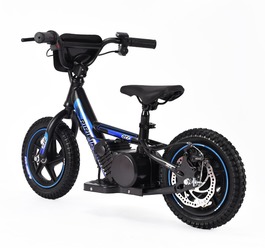 /r/i/riribike21.jpg