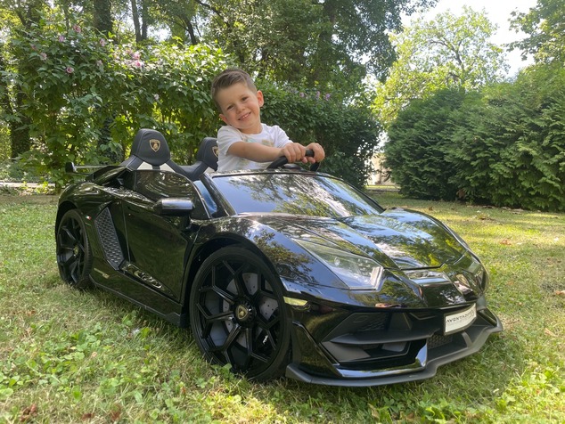 Electric Ride on Car Lamborghini Aventador 12V for two users, Green, Vertical opening doors, 2 x 12V