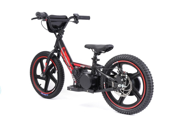 Children's electric balancer RIRIBIKE RTX6 24V (16"), red, Lithium battery, 250W motor, Disc brake, 